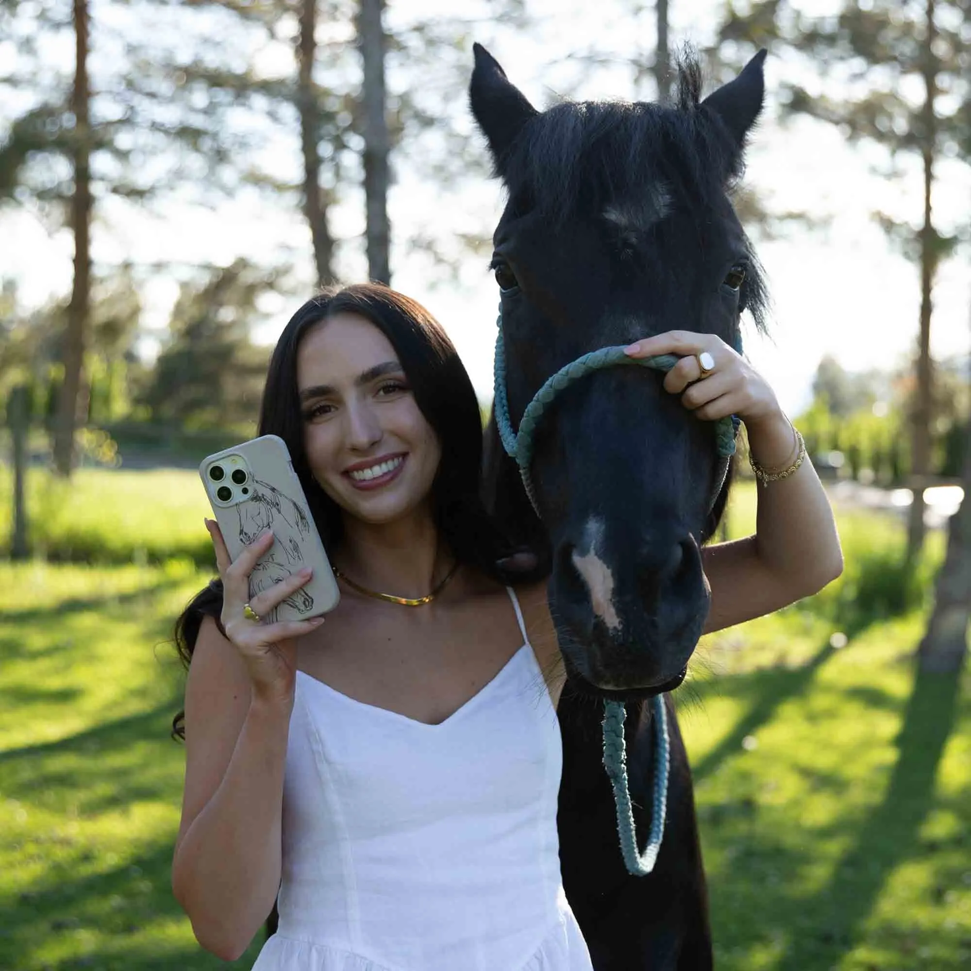 Matte Texture Finish Modern Accent London Fog Equine iPhone 17 Case