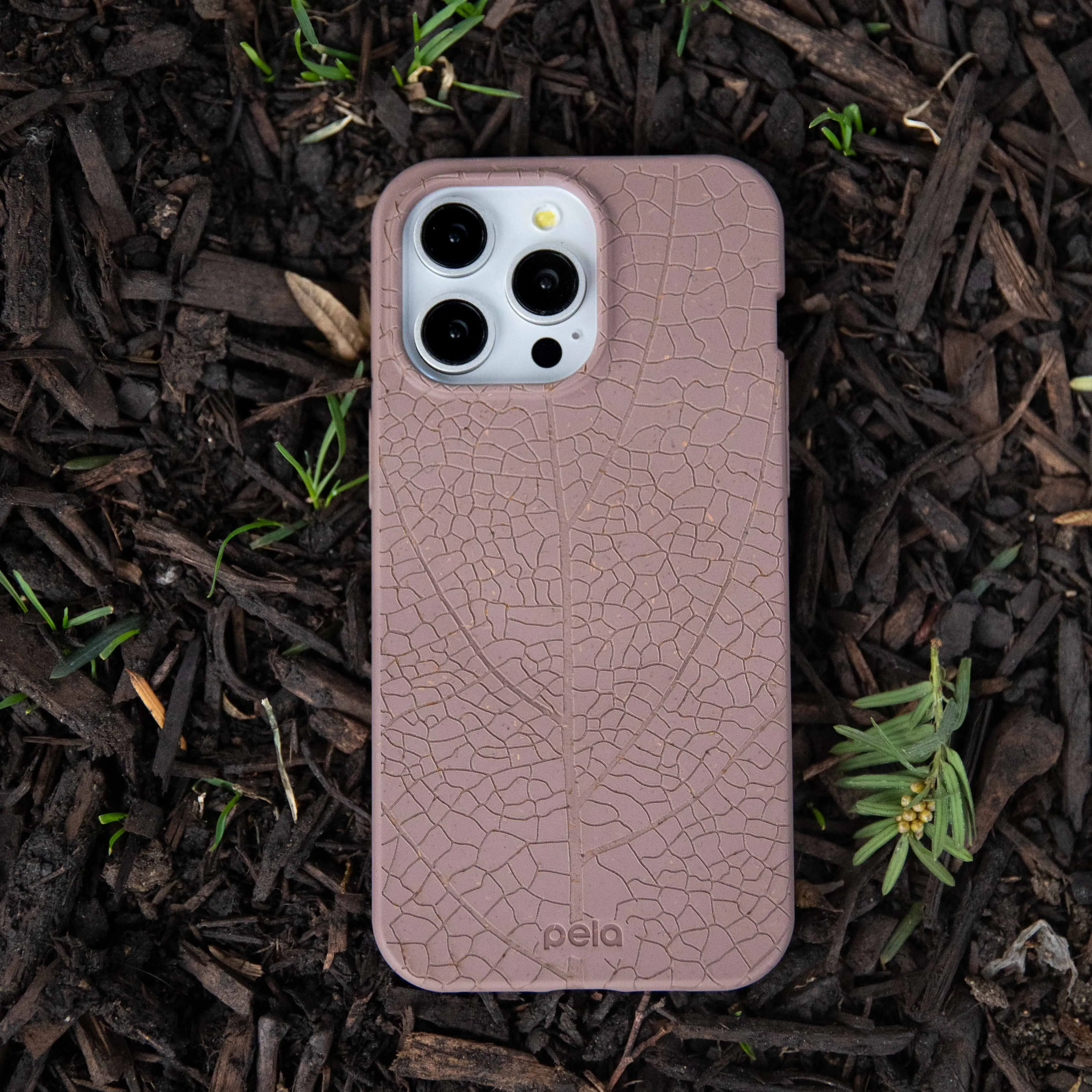 Chocolate Brown Leaf Veins iPhone 17 Case Light Finish