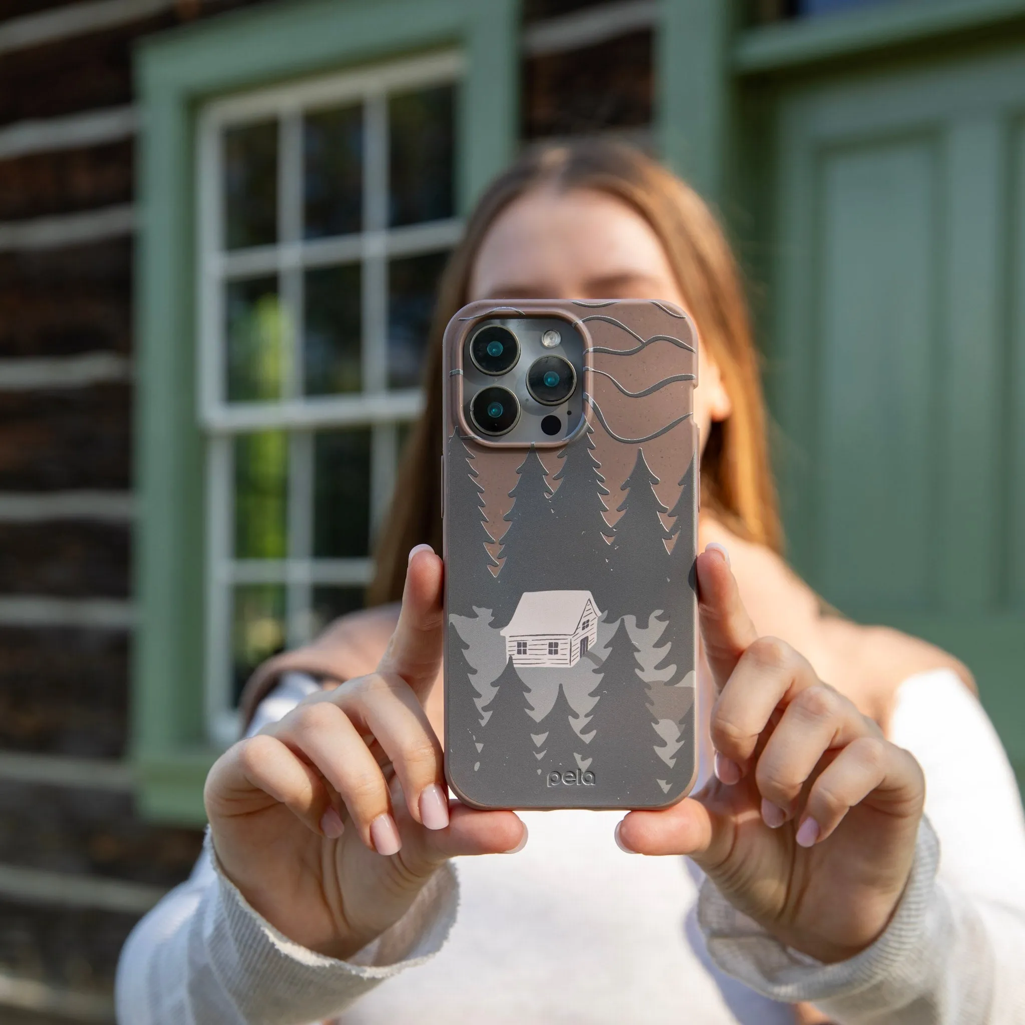 Compact Pattern Compact Texture Chocolate Brown Hidden Cabin iPhone 17 Case