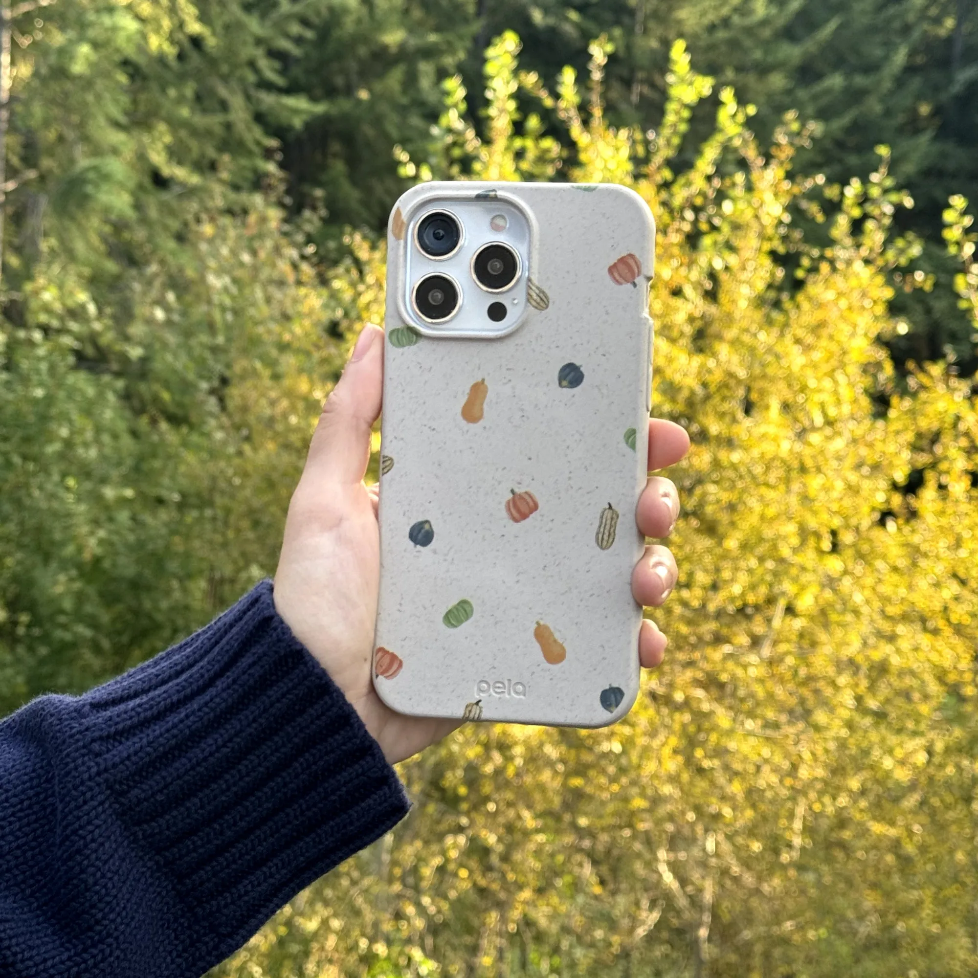 Work Essentials Flexible structure Seashell Squash Garden iPhone 17 Case